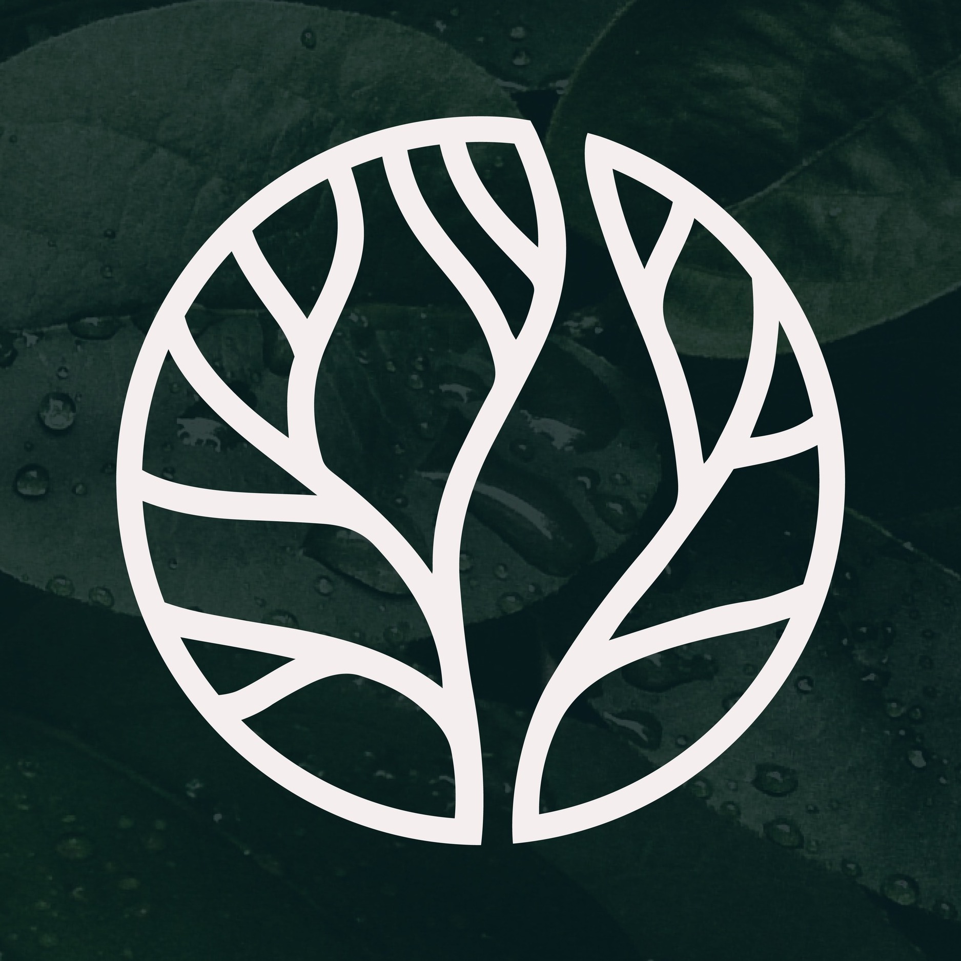 Slide Image - https://cdn.theeventus.com/01J723ZM5D716YMZ0HDCSWC3MX.jpg