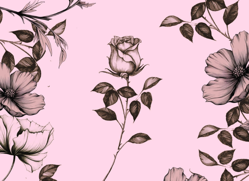 Slide Image - https://cdn.theeventus.com/01J73WHYXFHX3D17C87YKER8PM.png