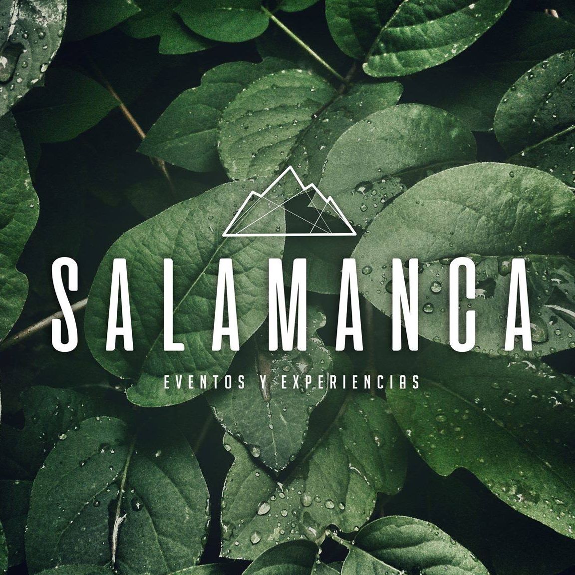 Slide Image - https://cdn.theeventus.com/01J742QF63DGND68RVX62T5KSB.jpg