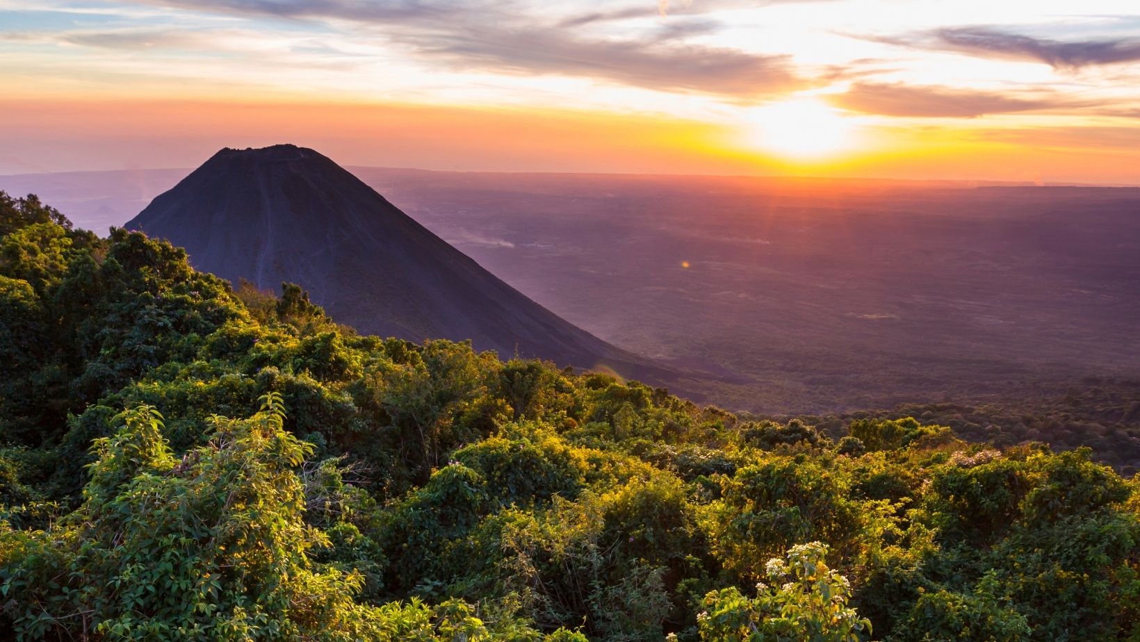 Filme Entre la piedra y la Flor