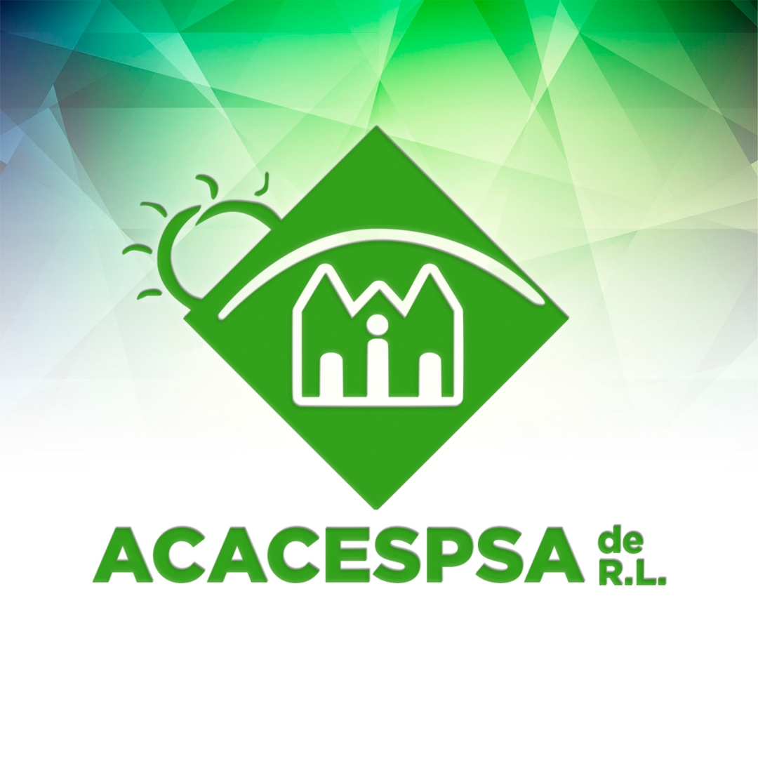 Slide Image - https://cdn.theeventus.com/01J88HGVQE9GX9579HVJQ4P732.jpg