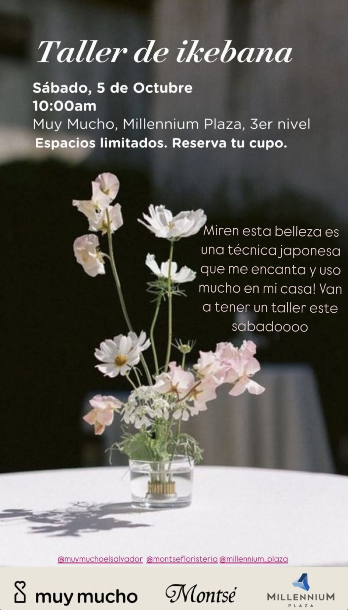 Taller De Ikebana