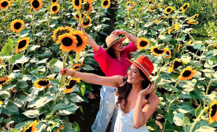 Festival De La Sandia Y Festival De Girasoles