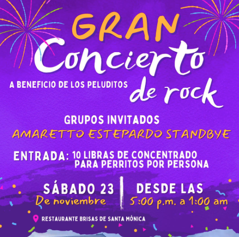Gran Concierto De Rock A Beneficio De Los Peluditos