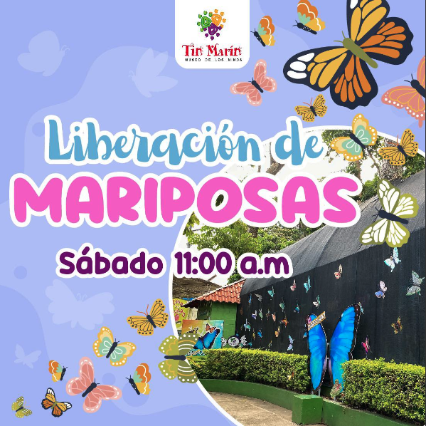 Liberación De Mariposas