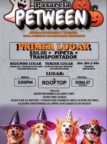 Pasarela PETWEEN