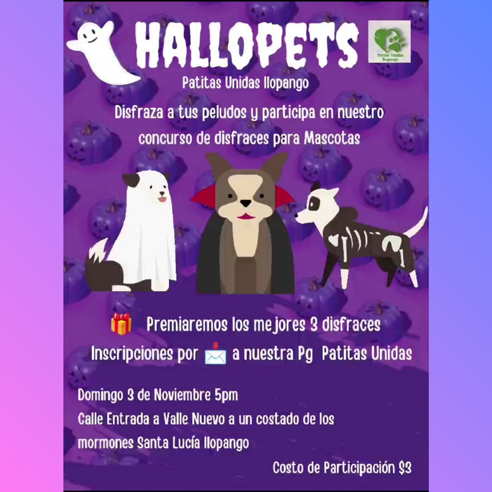 HALLOPETS PATITAS UNIDAS 🐾