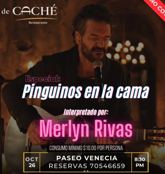 Especial Pingüinos En La Cama