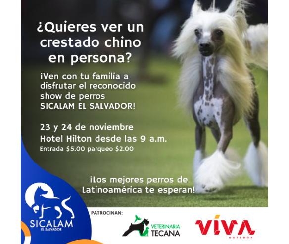  SICALAMA EL SALVADOR 2024