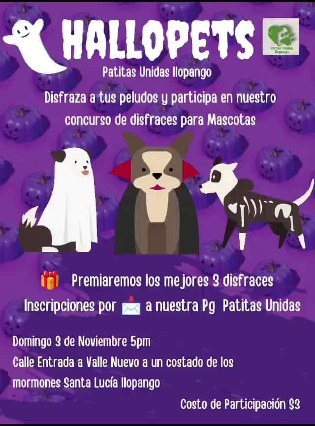 HALLOPETS PATITAS UNIDAS