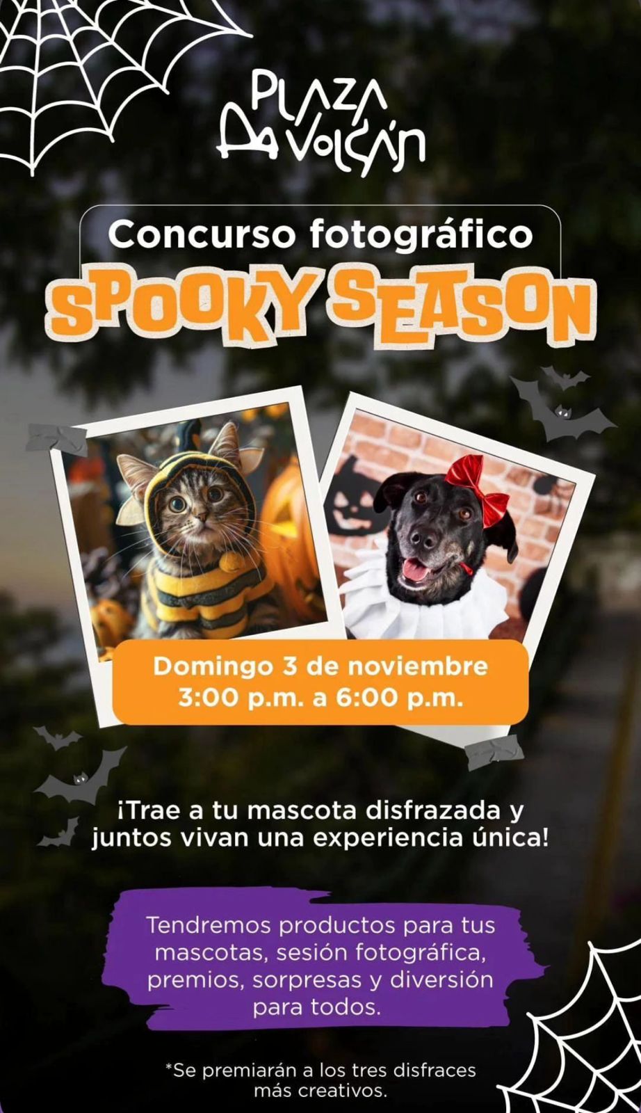 Concurso Fotografico Spooky Season 