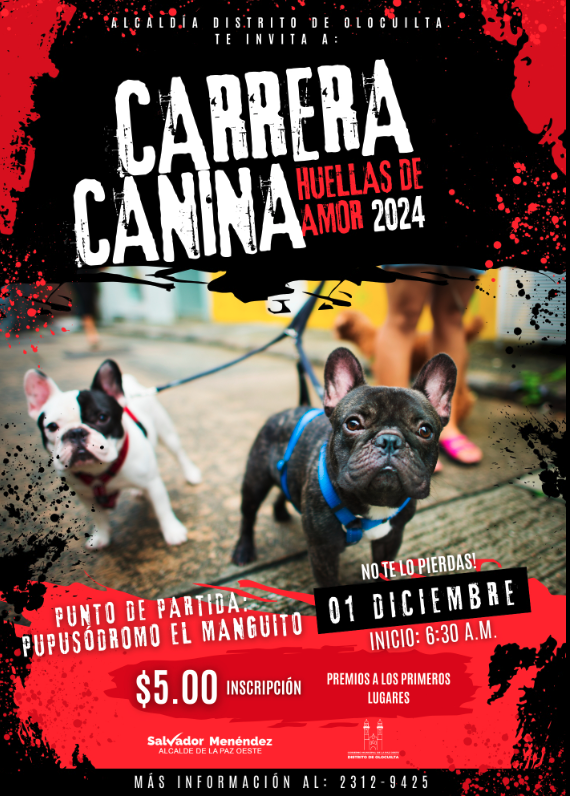  Carrera Canina Huellas de Amor 2024