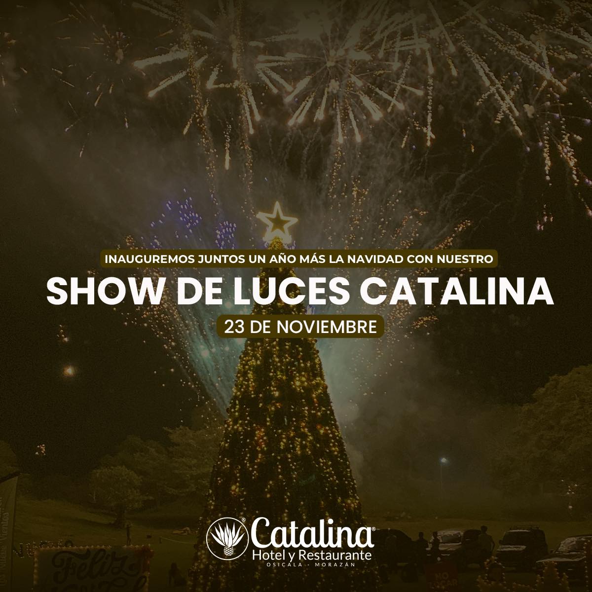  El SHOW DE LUCES Catalina Hotel y Restaurante