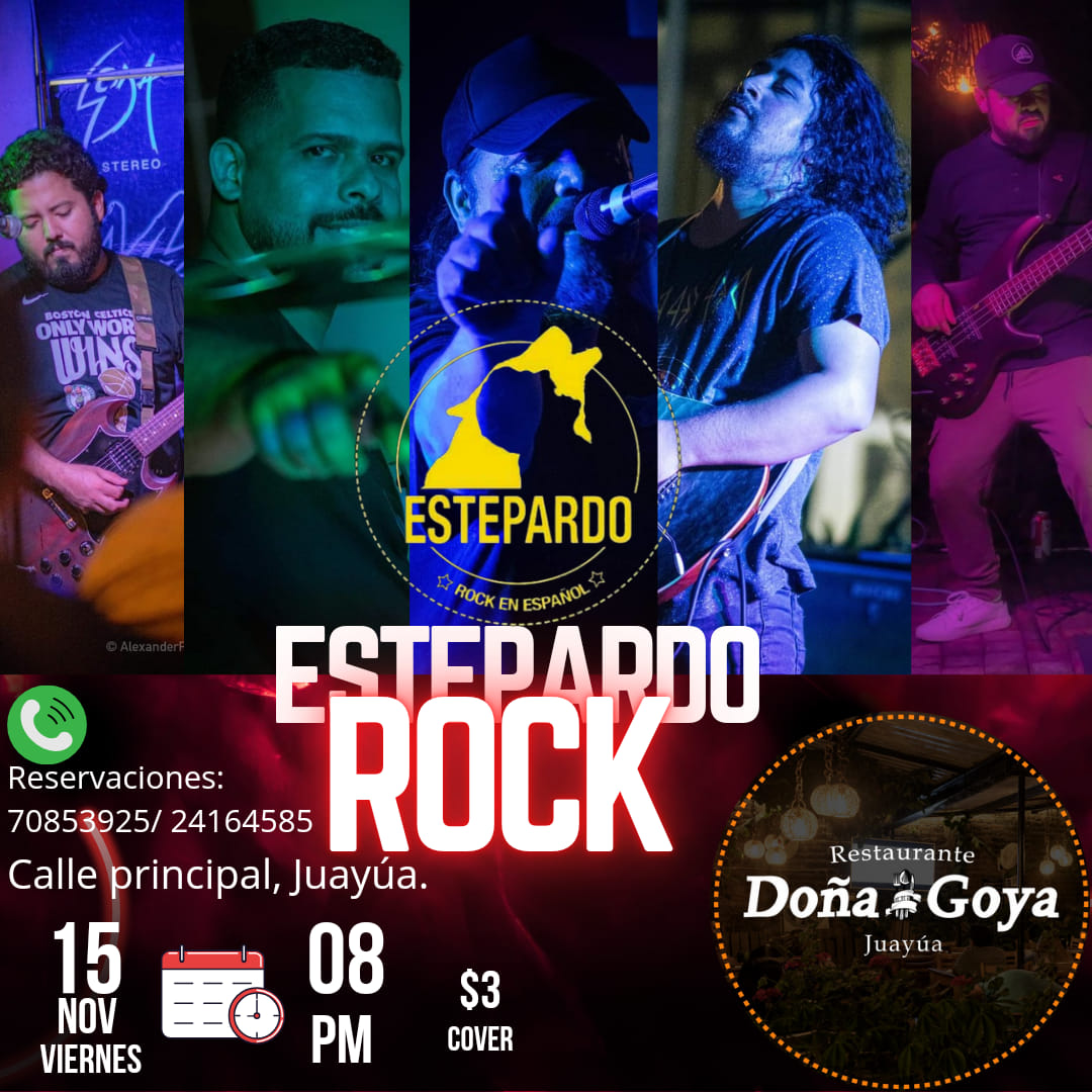Concierto Especial de Rock 