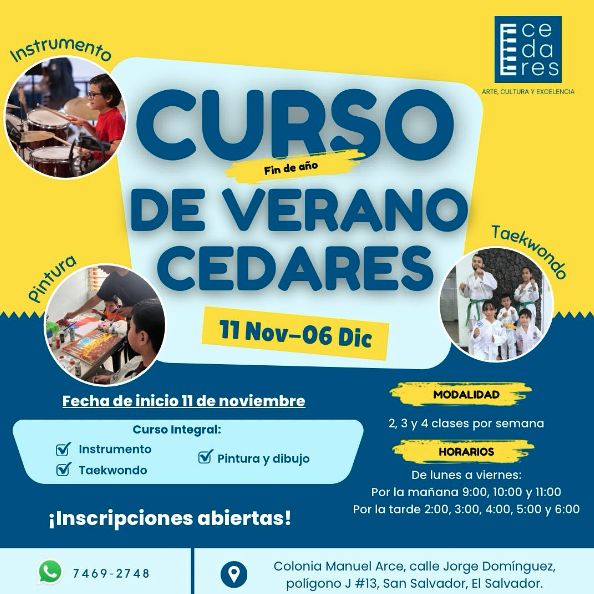 Curso De Verano CEDARES