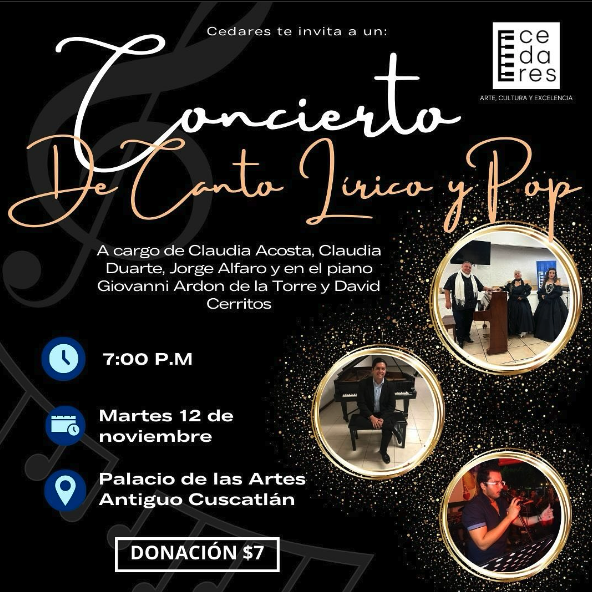 Concierto De Canto Lírico O Pop