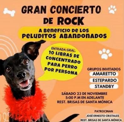 GRAN CONCIERTO DE ROCK A BENEFICIO DE LOS PELUDITOS ABANDONADOS