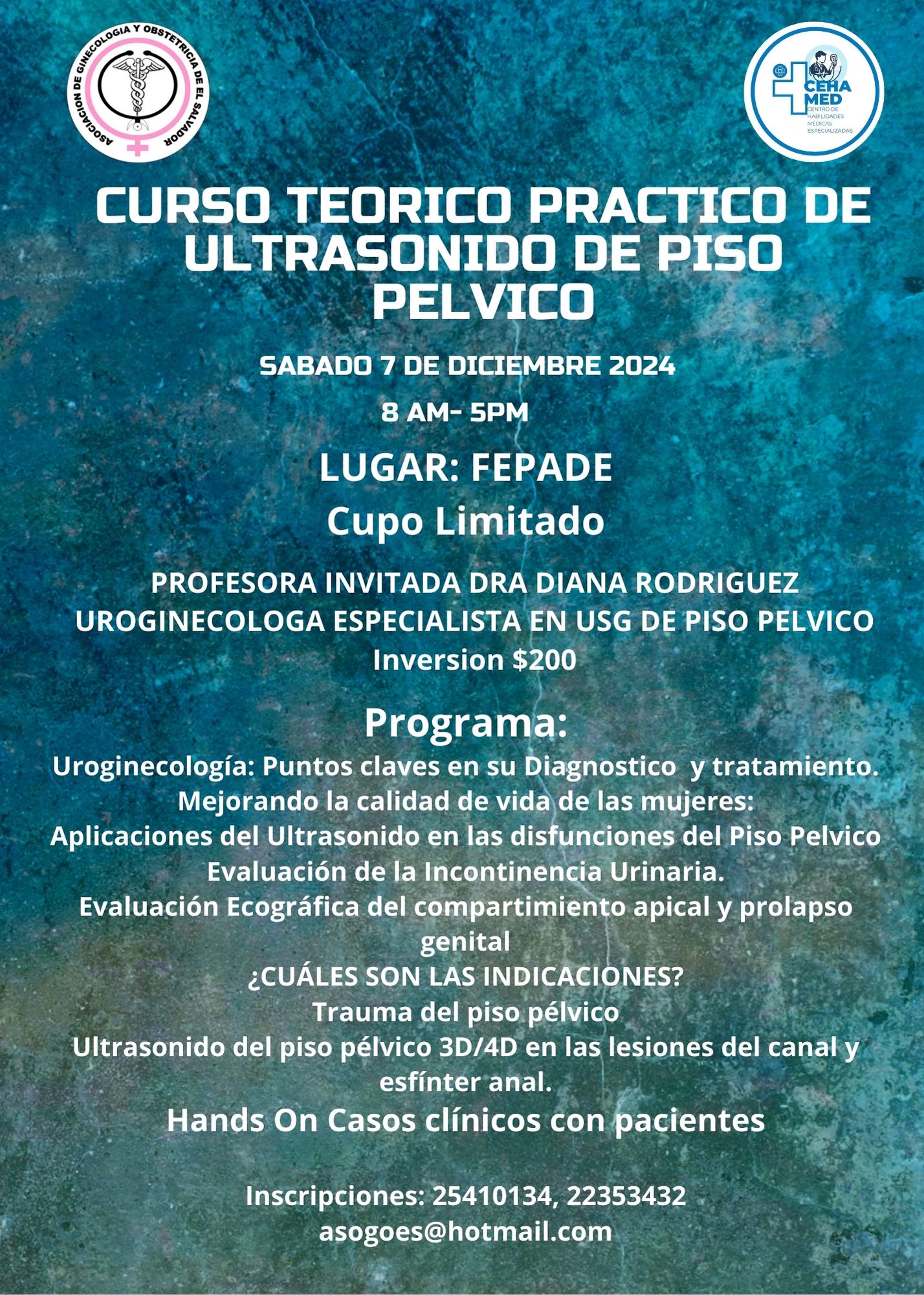 Curso De Uroginecología 
