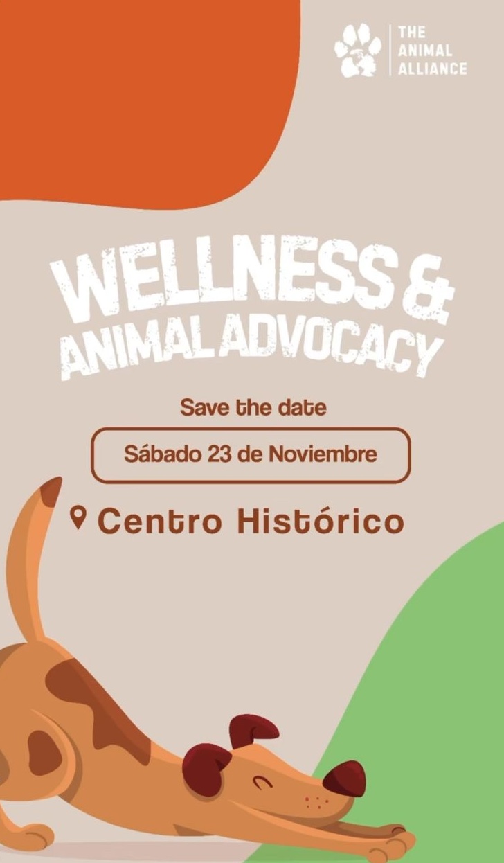 WELLNESS & ANIMAL ADVOCACY