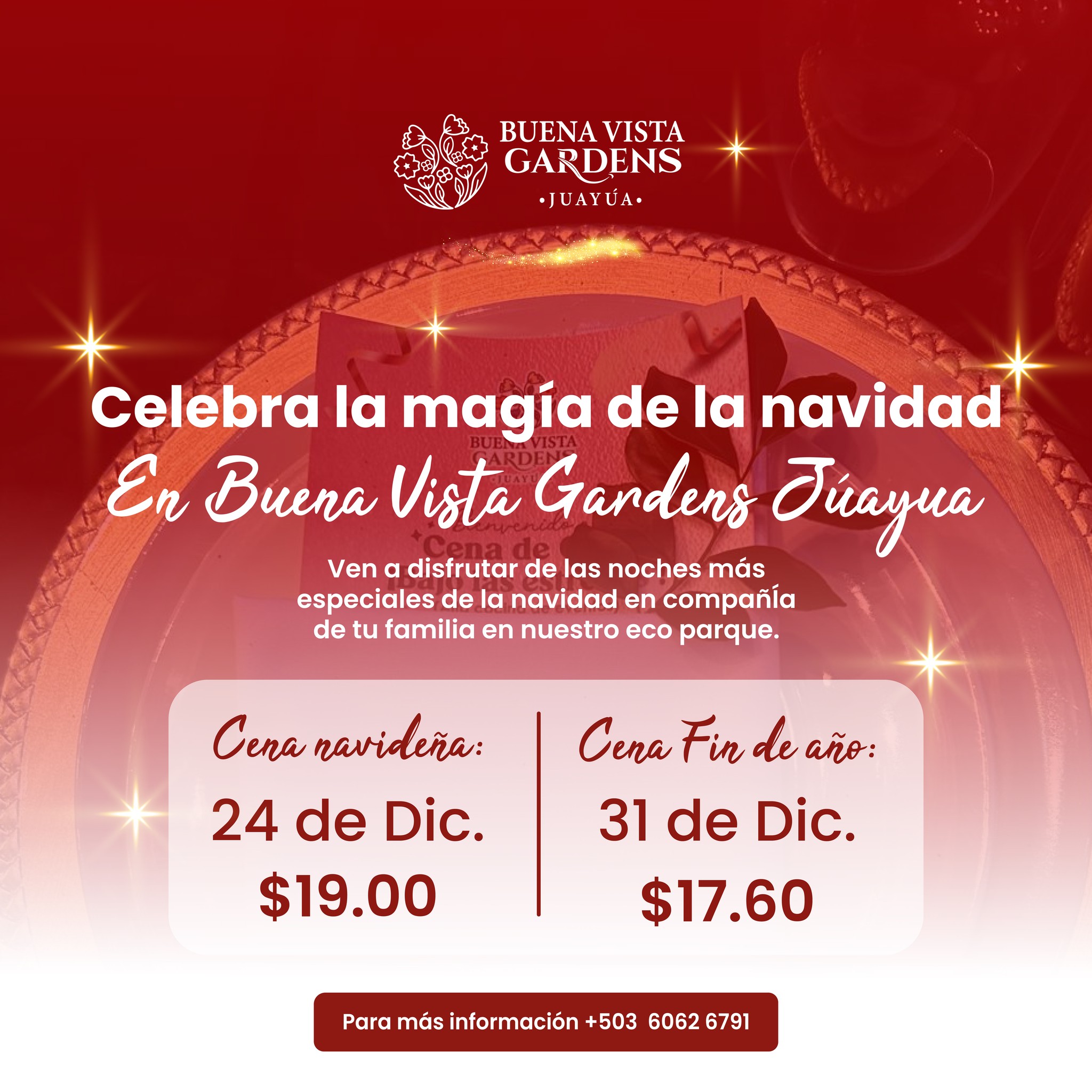 Cena Navideña ¨Celebra La Magia De La Navidad