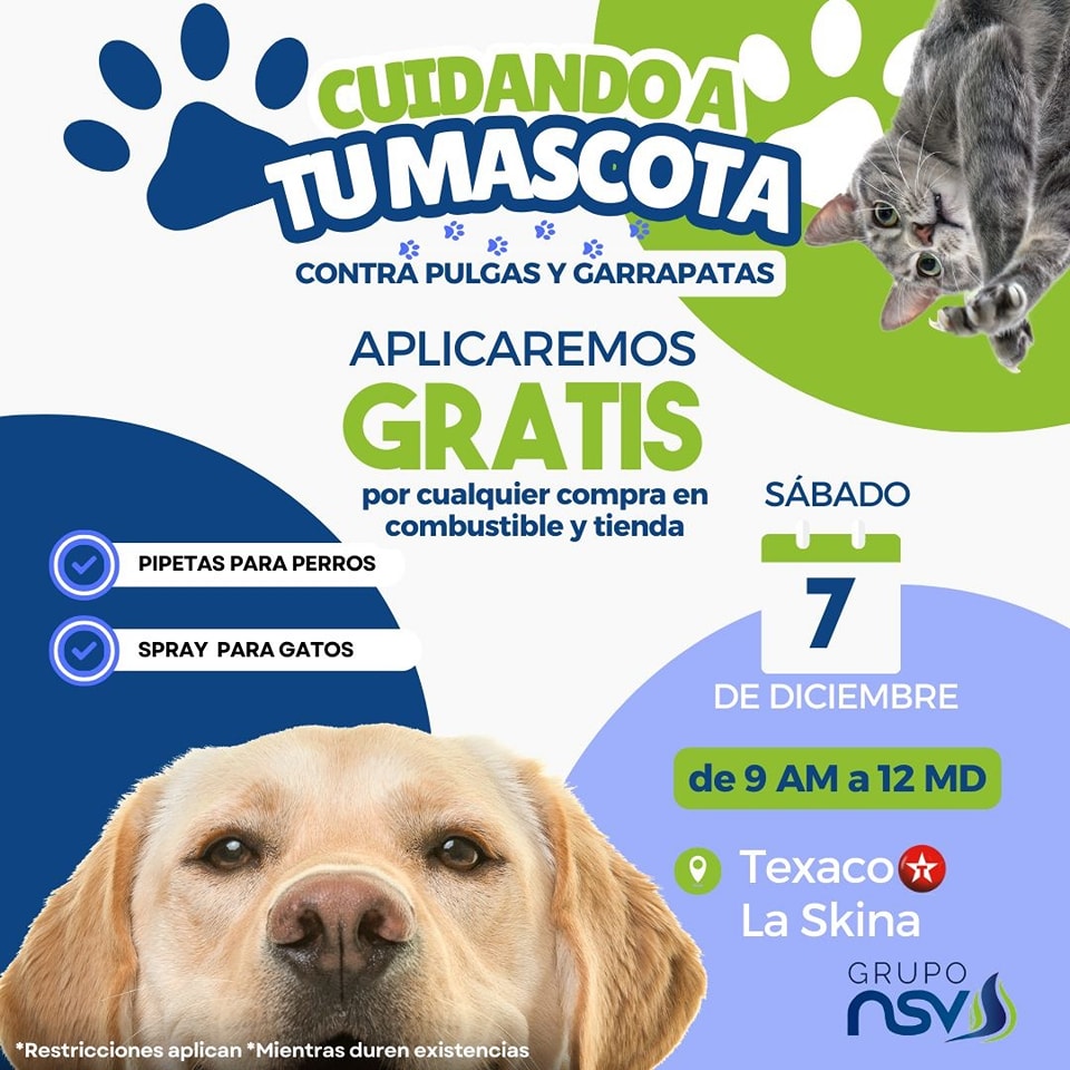 Cuidando A Tu Mascota