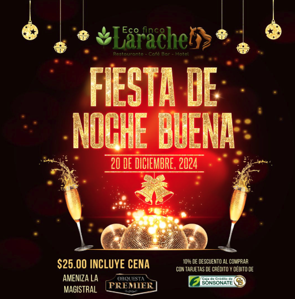 Fiesta De Noche Buena 