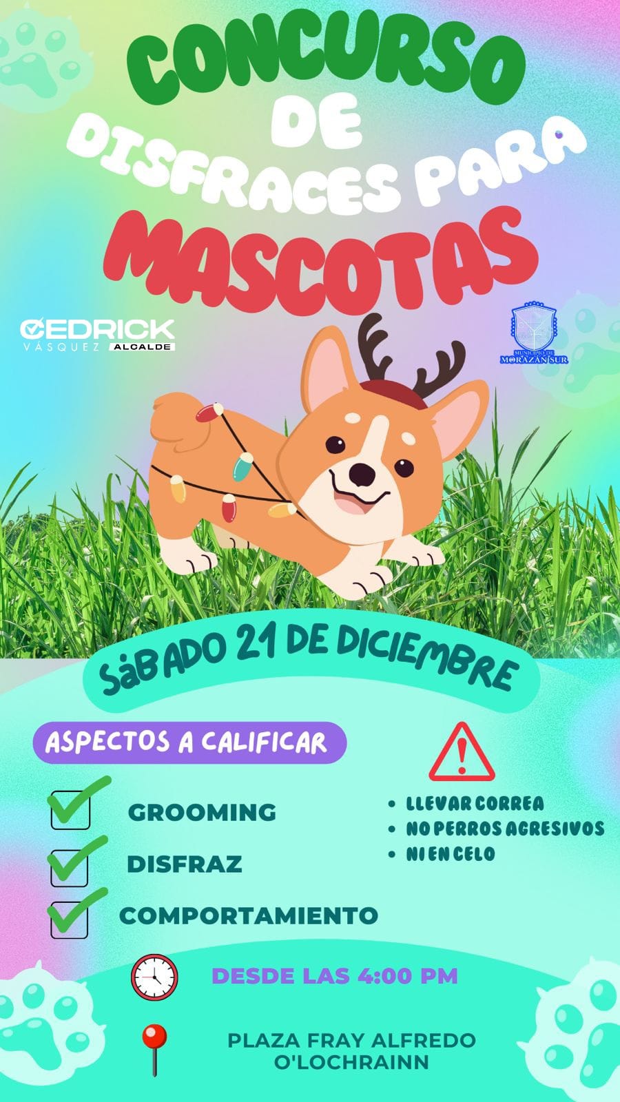 Concurso de Disfraces de Mascotas Caninas 