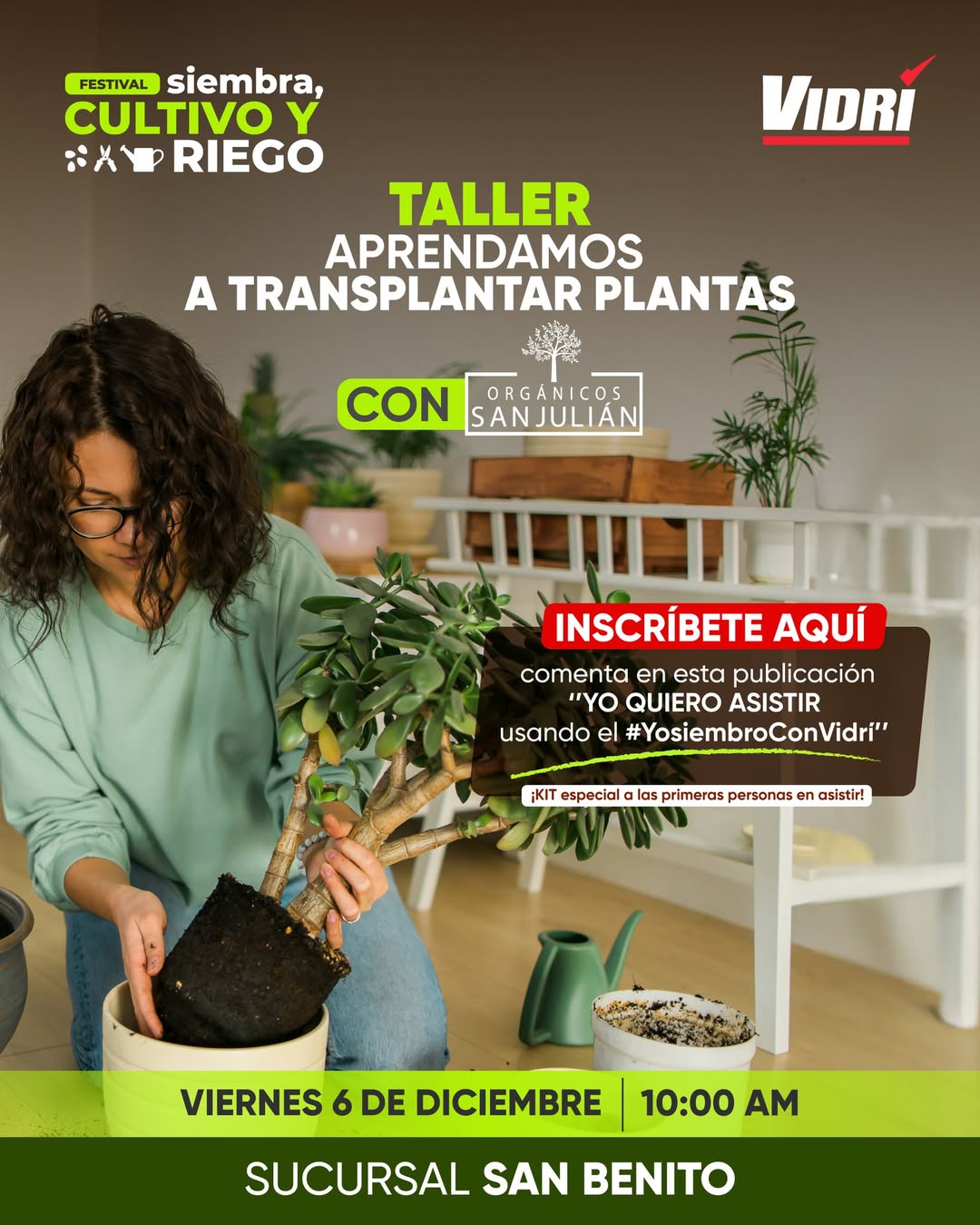 Taller Aprendamos A Trasplantar Y Cuidar Las Plantas 