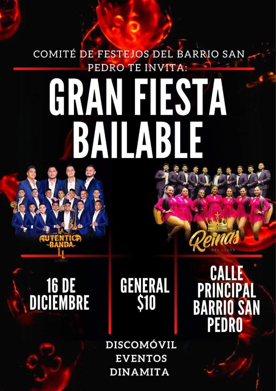 Gran Fiestón Bailable