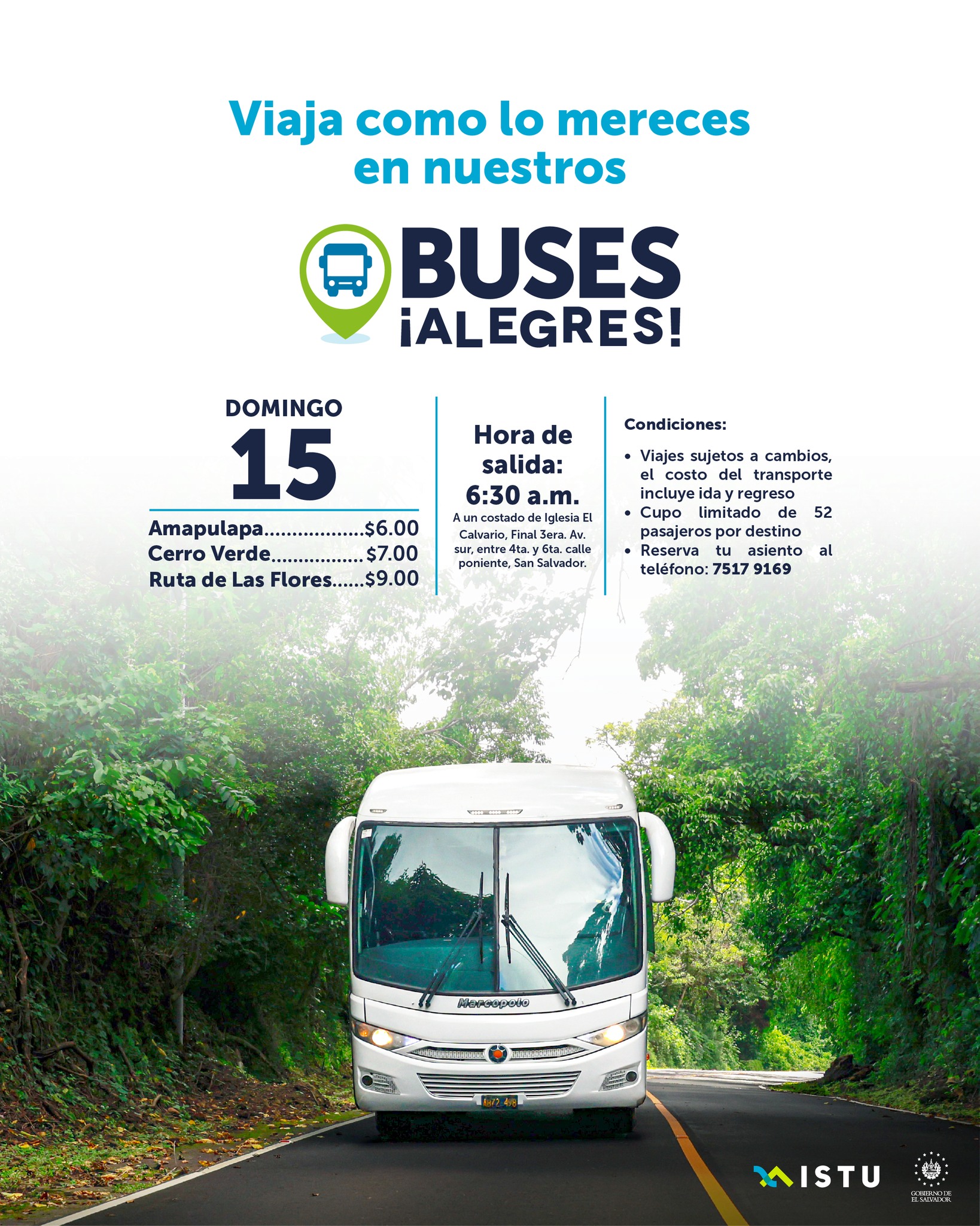 Buses Alegres