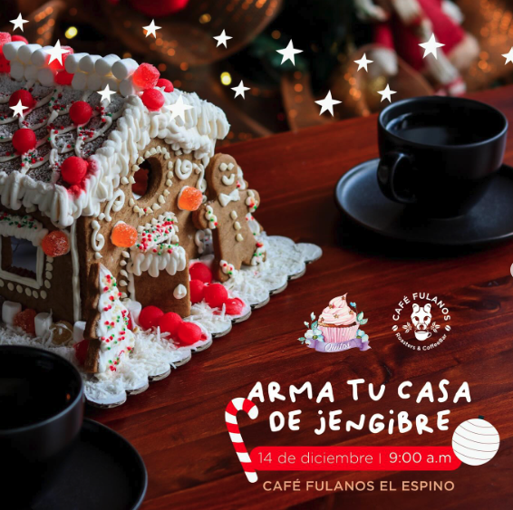 Taller armando casita de Jengibre 