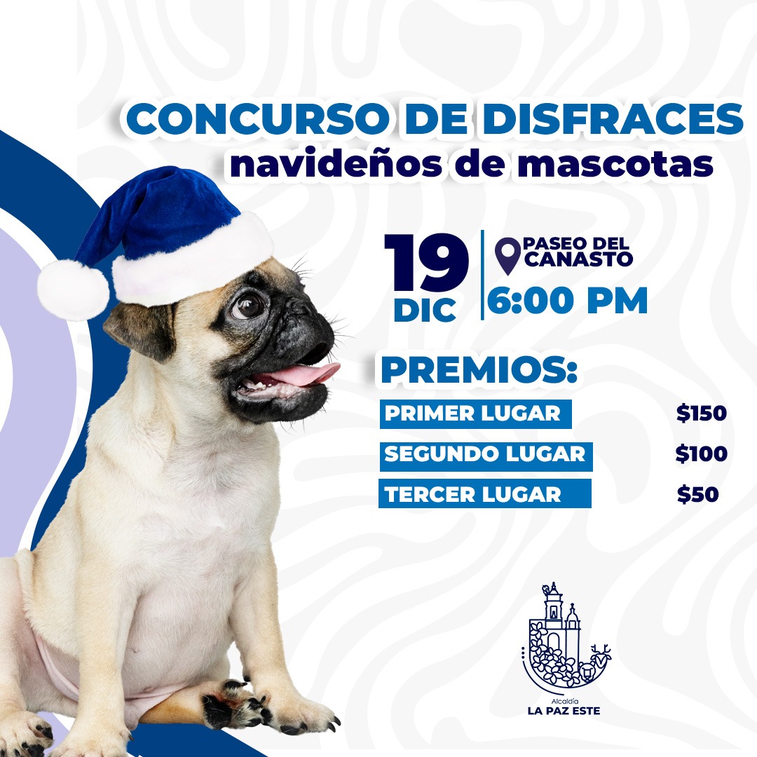 Concurso De Disfraces