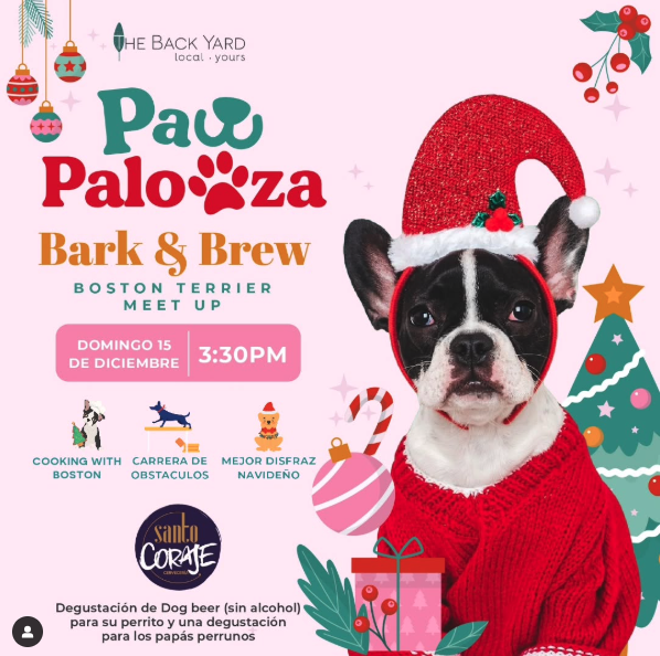 Paw Palo Plaza