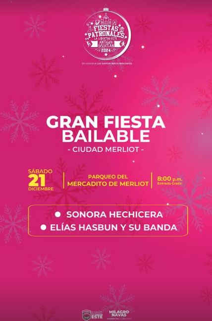 GRAN FIESTA BAILABLE