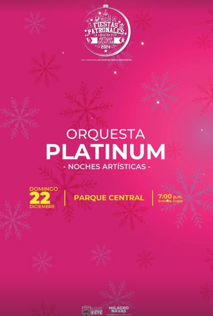Noches Artísticas Con ORQUESTA PLATINUM