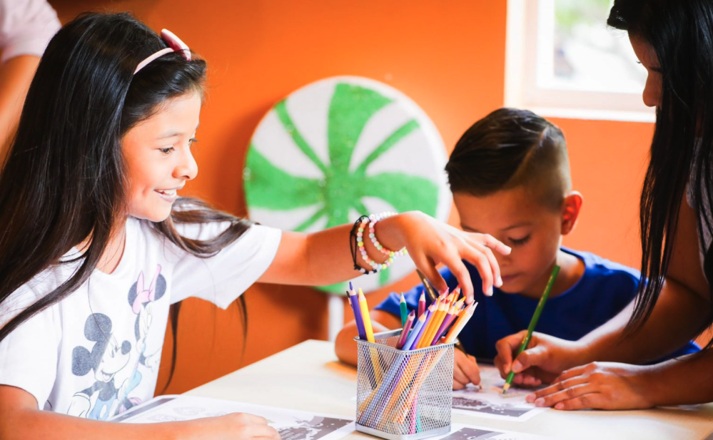 Taller: Decora tu oveja