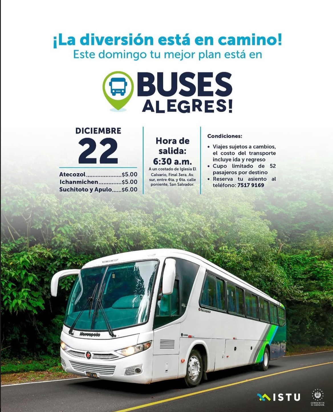 Buses Alegres 
