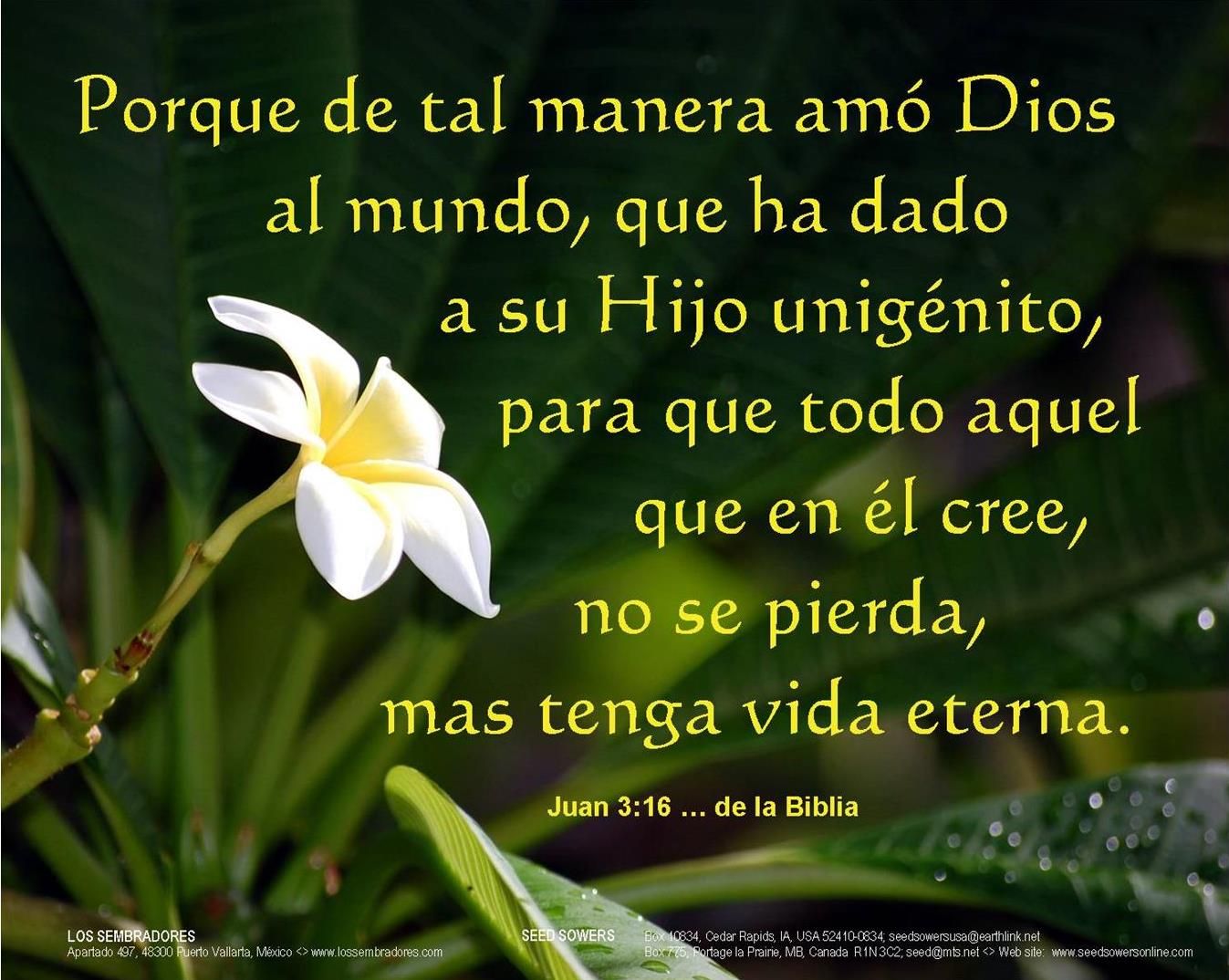 CAMPAÑA EVANGELÍSTICA 