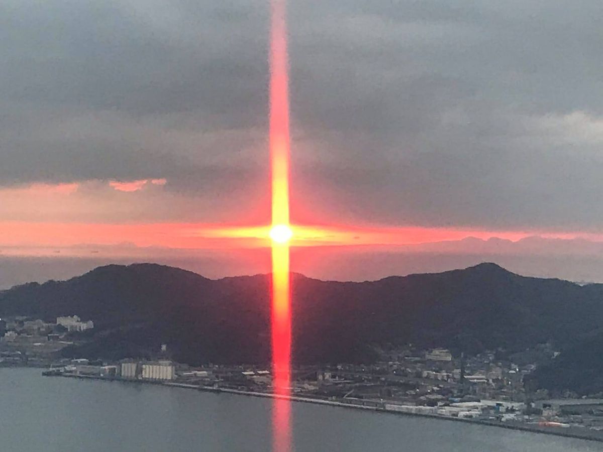 Torneo Mundial De Las Artes Marciales