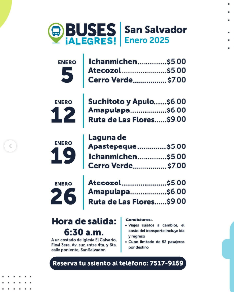 Buses Alegres 