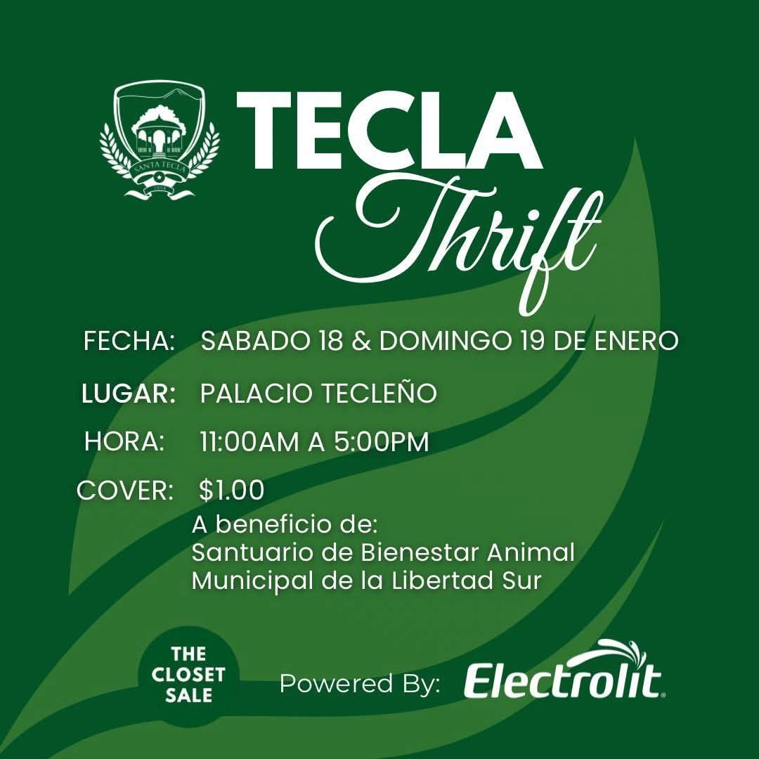 Tecla Thrift 