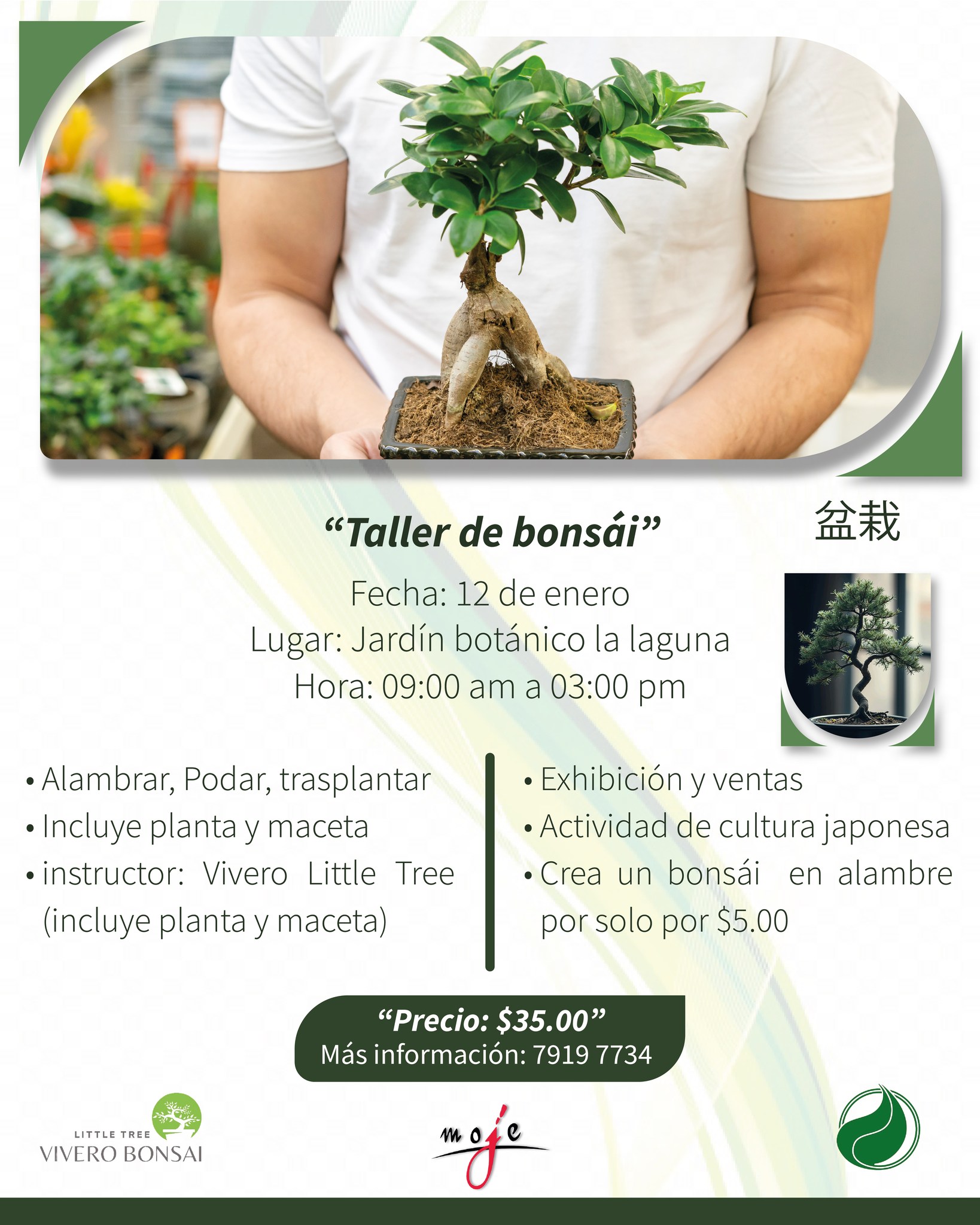 Taller de Bonsái 🌳