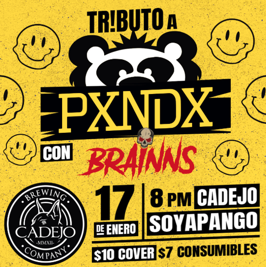 Tributo a PXNDX 
