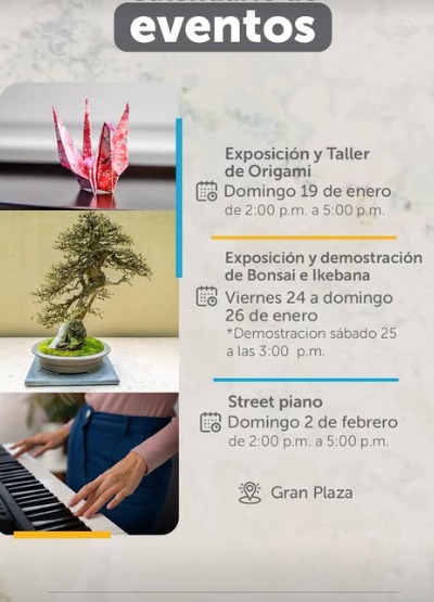 Exposición y Taller de Origami