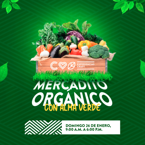 Mercadito Orgánico con Alma Verde 