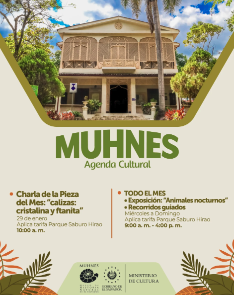 Charlas, exposiciones y recorridos 