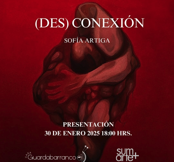 (DES) CONEXIÓN 