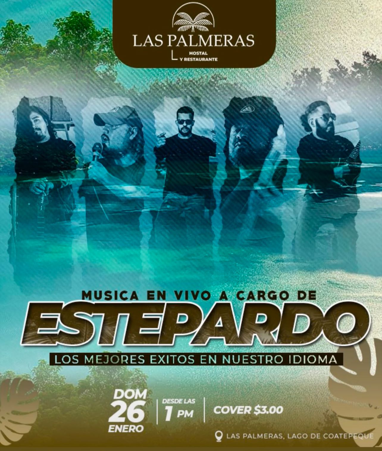 Especial música en vivo 