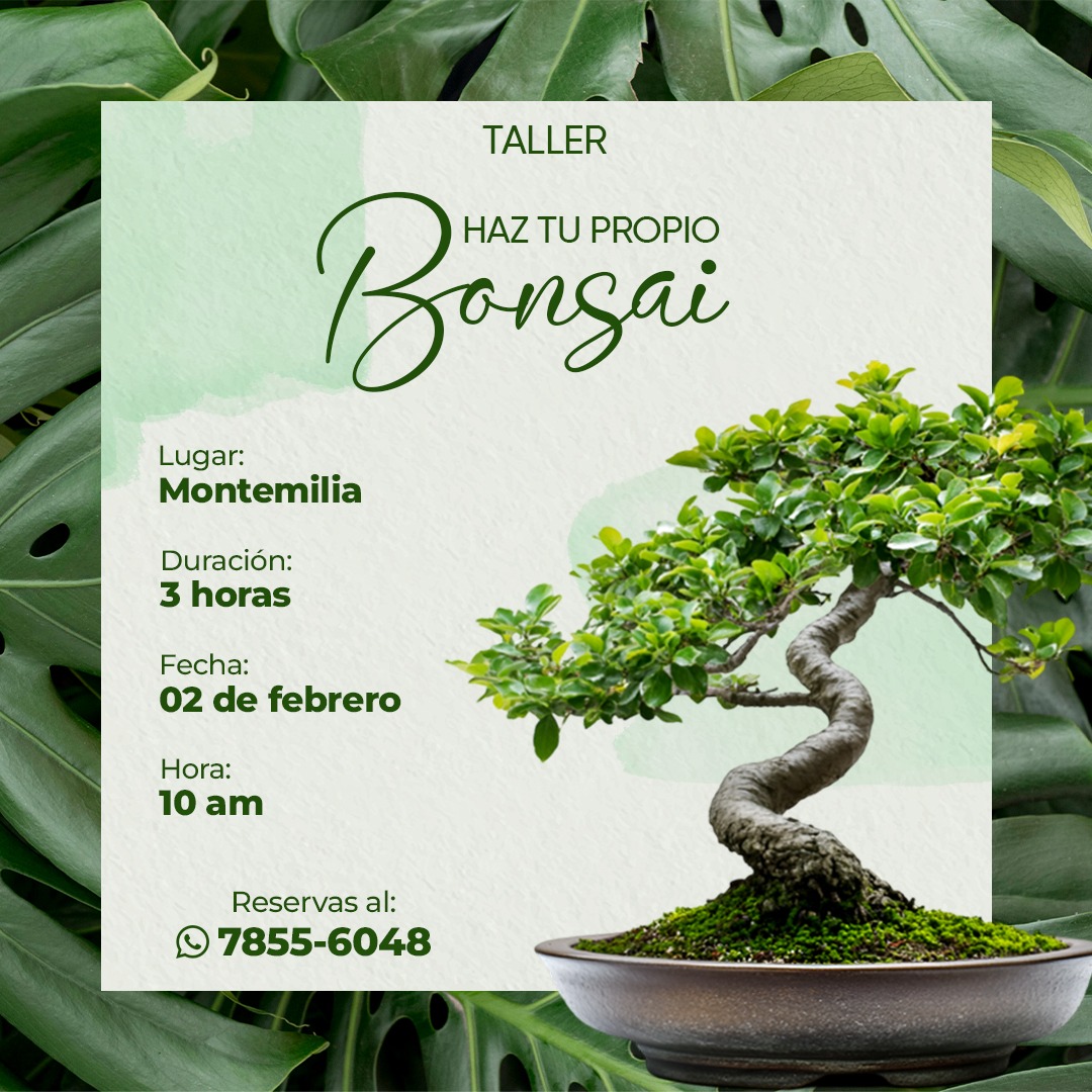 CURSO DE BONSAI