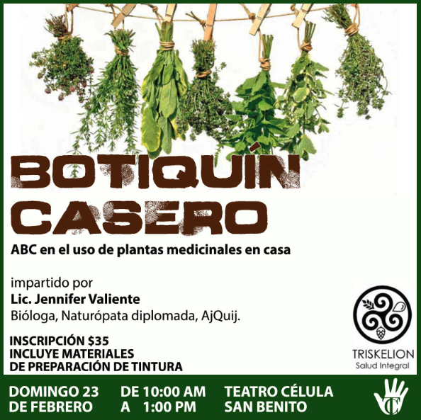 Taller de Botiquín Casero ABC en el uso de las plantas medicinales 